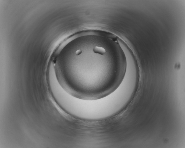 X0000113571285200910091430