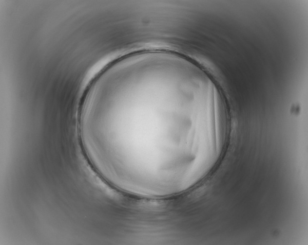 X0000113571286200910091430