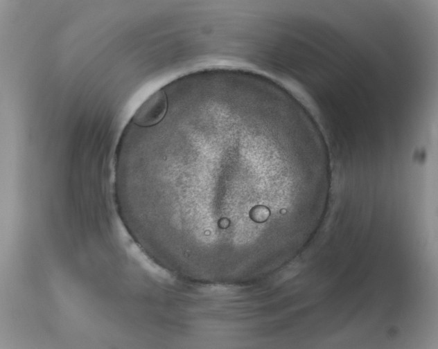 X0000113571287200910091430