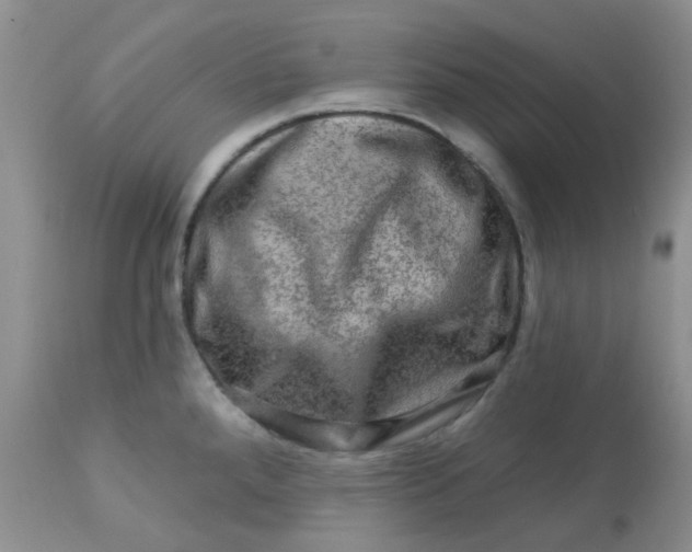 X0000113571288200910091430