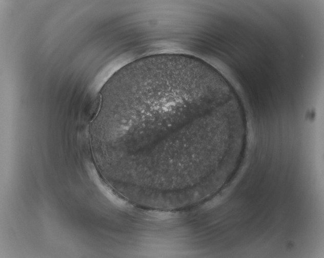 X0000113571289200910091430