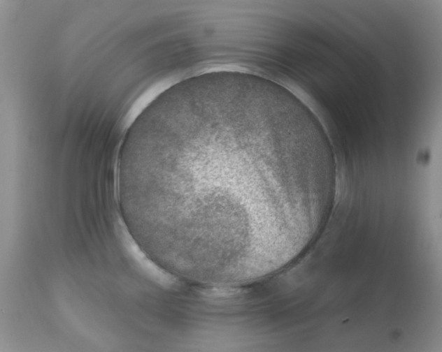 X0000113571290200910091430