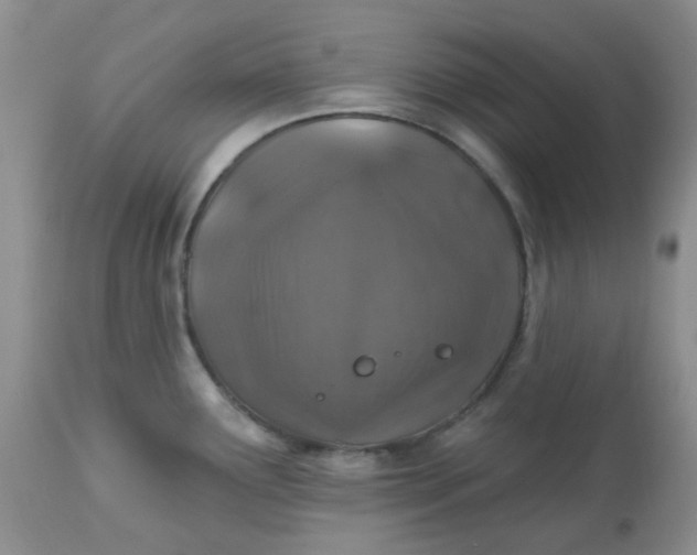 X0000113571291200910091430