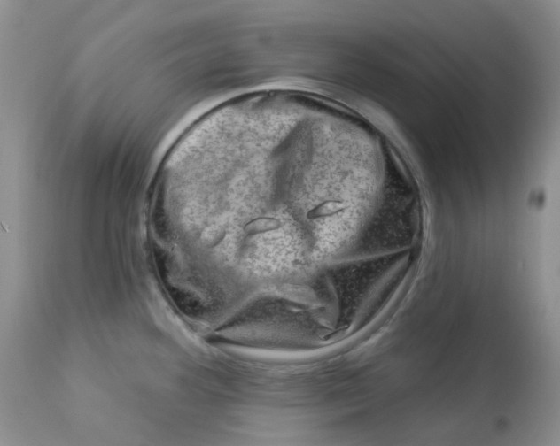 X0000113571292200910091430