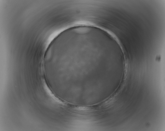 X0000113571295200910091430