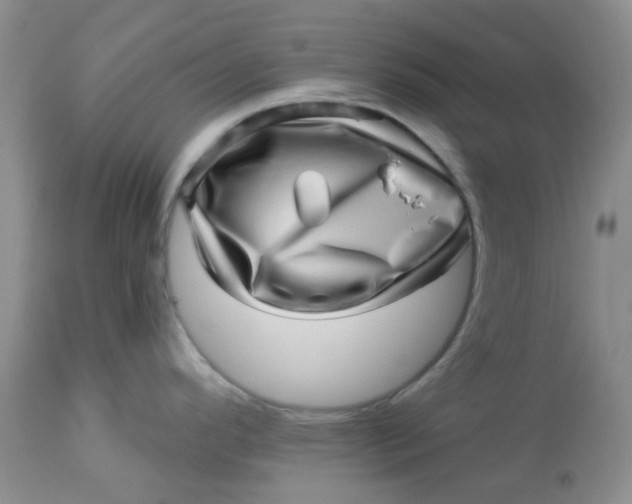 X0000113571296200910091430