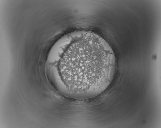 X0000113571297200910091429