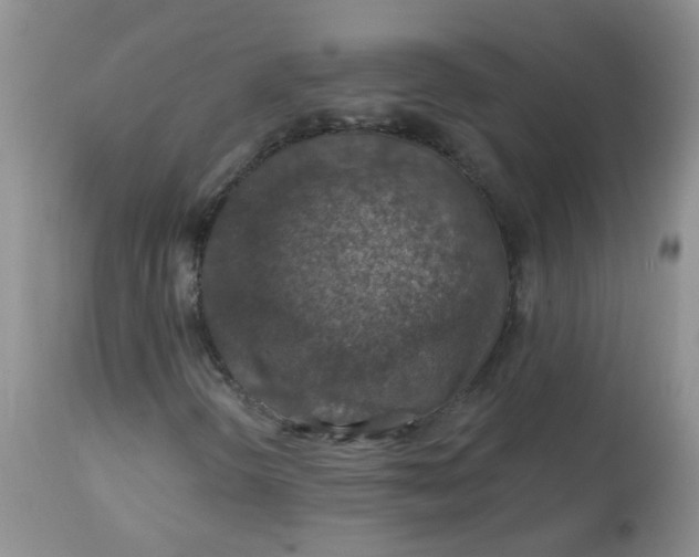 X0000113571298200910091429