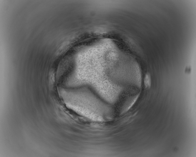 X0000113571299200910091429