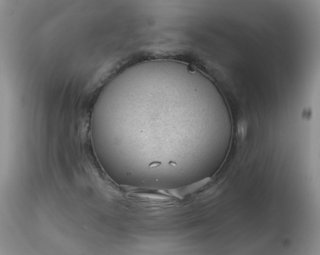 X0000113571300200910091429