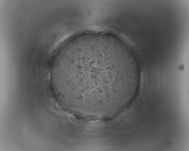 X0000113571302200910091429