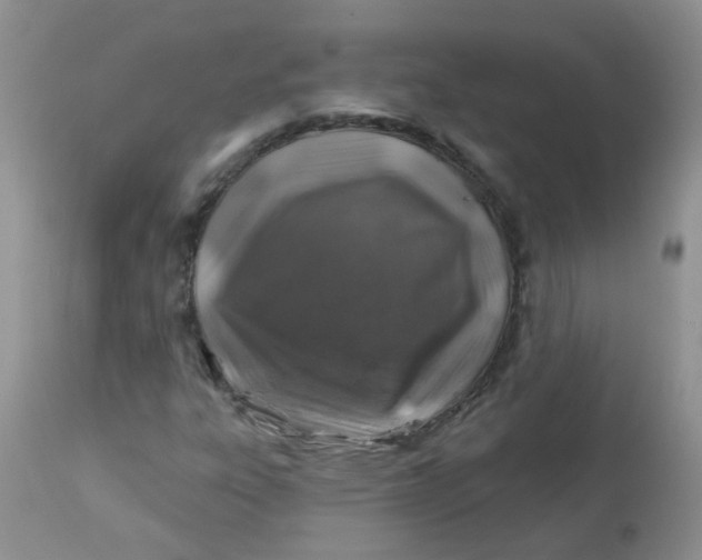 X0000113571303200910091429