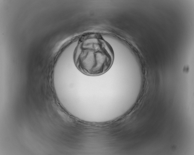 X0000113571304200910091429