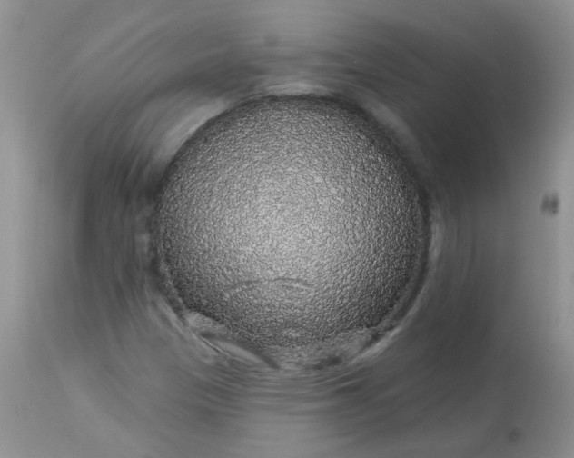 X0000113571305200910091429