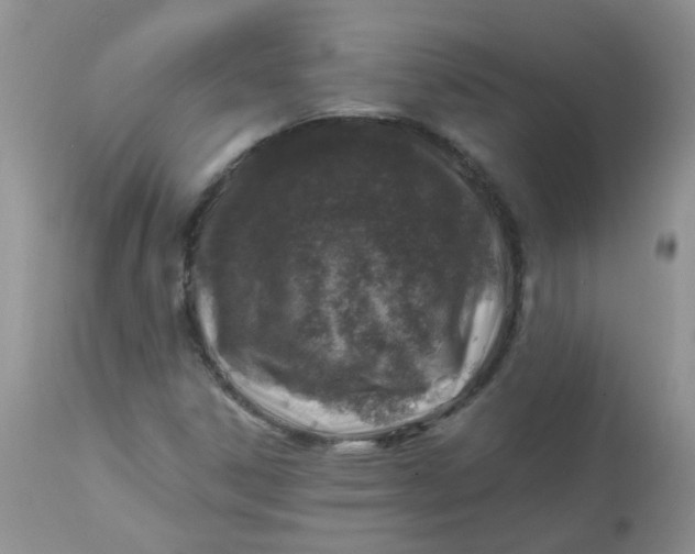 X0000113571306200910091429