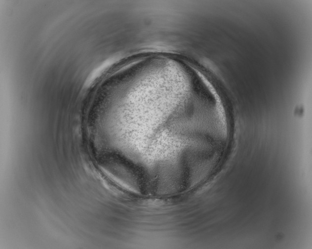 X0000113571307200910091429