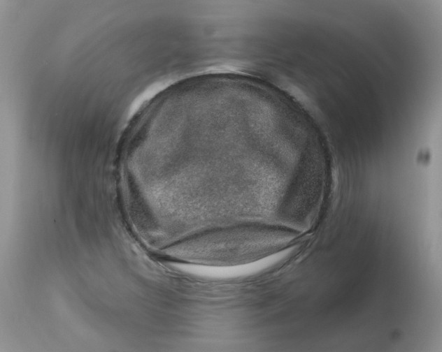 X0000113571308200910091429