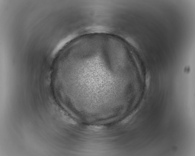 X0000113571309200910091429