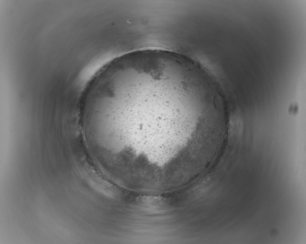 X0000113571310200910091429