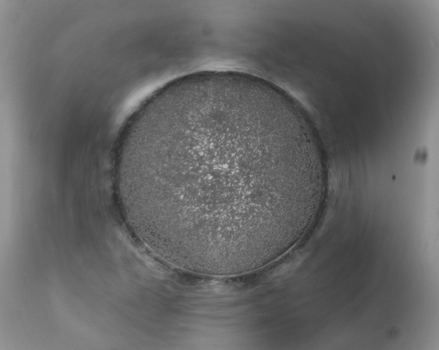 X0000113571311200910091429