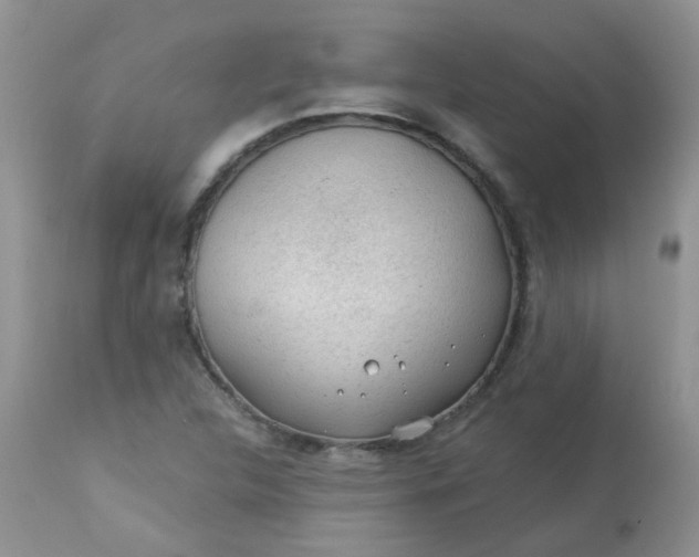 X0000113571312200910091429