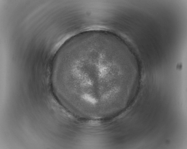 X0000113571313200910091429