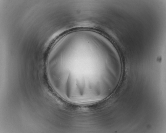 X0000113571315200910091429