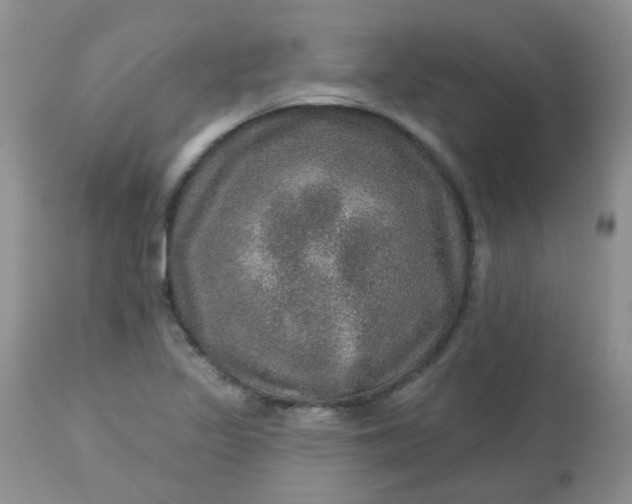 X0000113571317200910091429