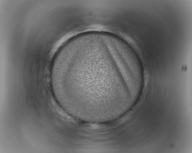 X0000113571318200910091429