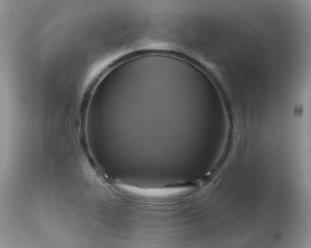 X0000113571319200910091429