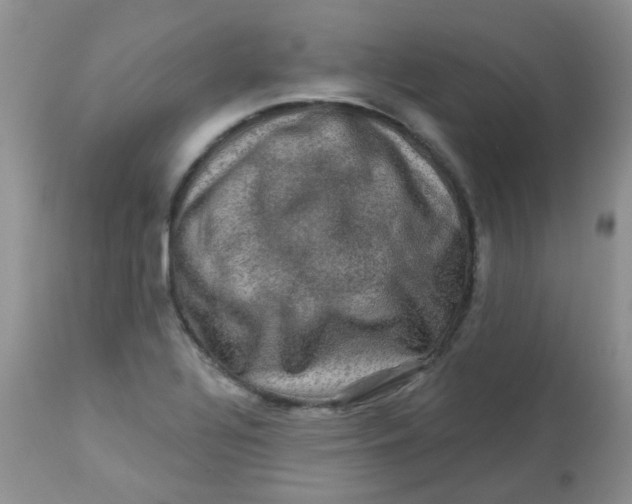 X0000113571320200910091429