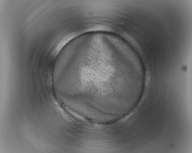 X0000113571321200910091430