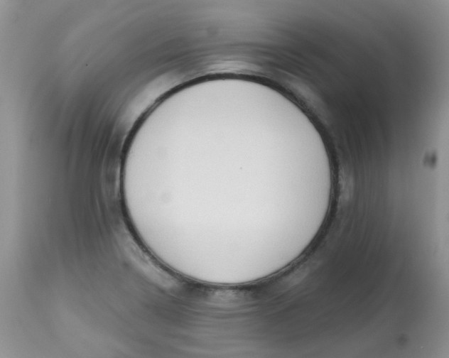 X0000113571322200910091430