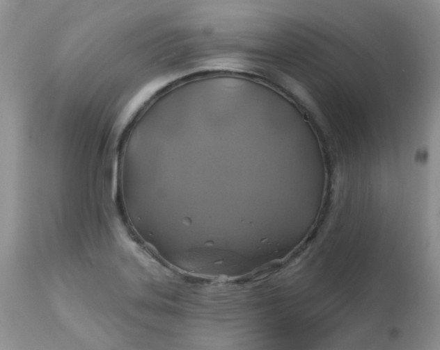 X0000113571323200910091430