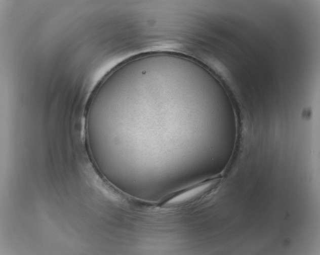 X0000113571324200910091430