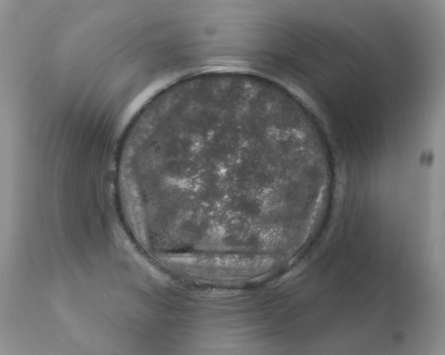 X0000113571325200910091430