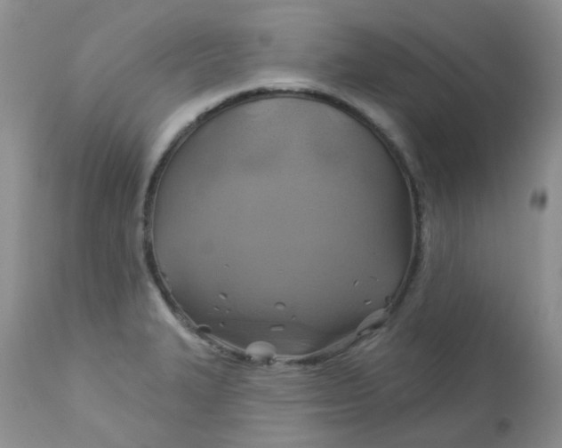 X0000113571327200910091430