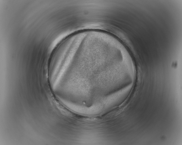 X0000113571328200910091430