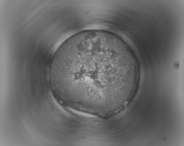 X0000113571329200910091430