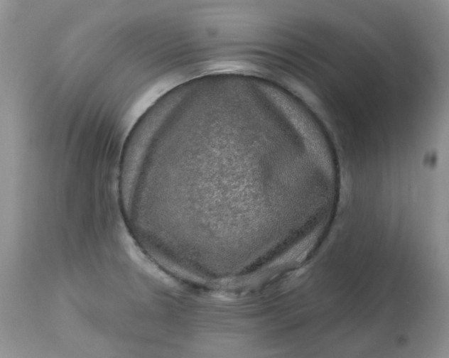 X0000113571330200910091430