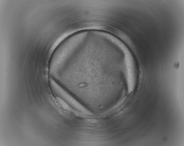 X0000113571332200910091430