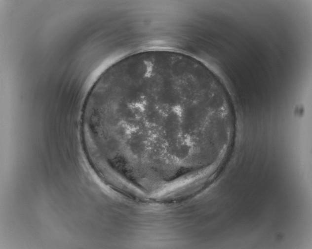 X0000113571333200910091430