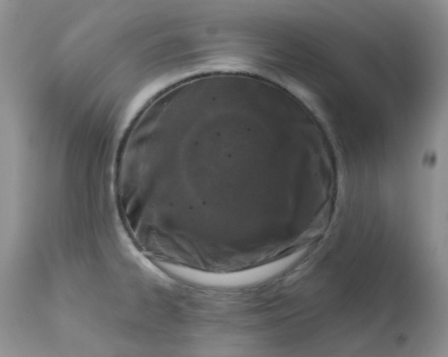 X0000113571334200910091430