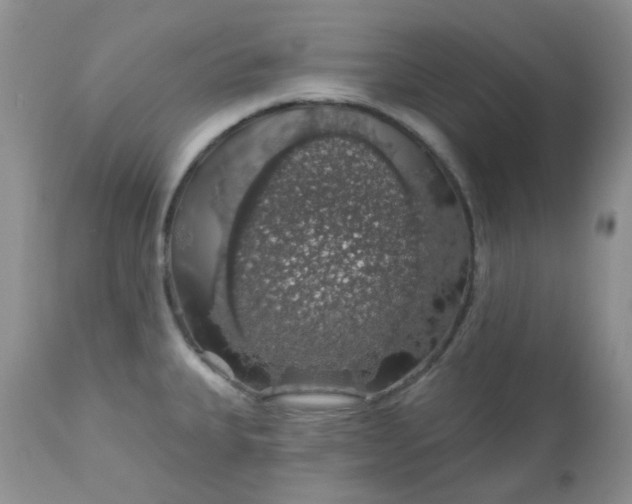 X0000113571335200910091430