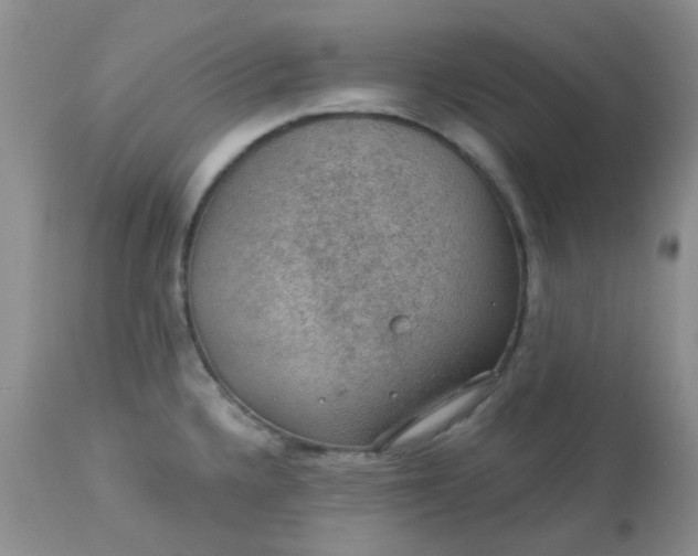 X0000113571336200910091430