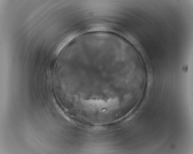 X0000113571337200910091430