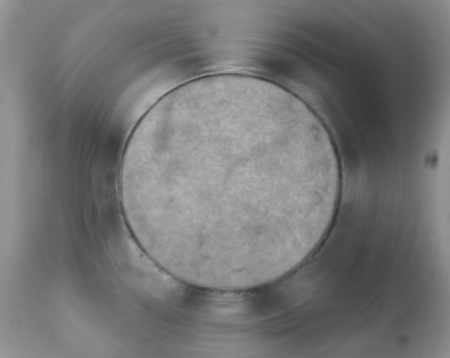 X0000113571338200910091430