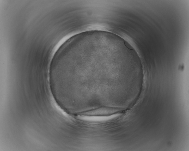 X0000113571339200910091430