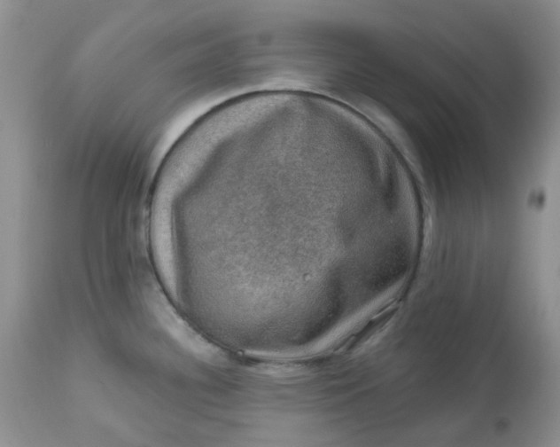 X0000113571340200910091430