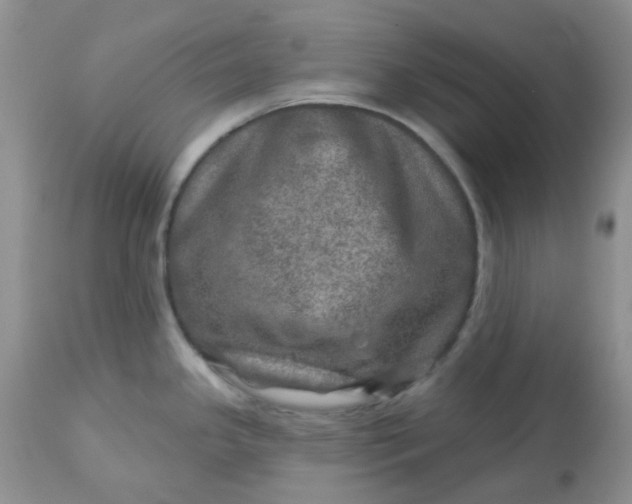 X0000113571341200910091430